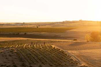 VIAJE A LA CAMPIÑA SEGOVIANA